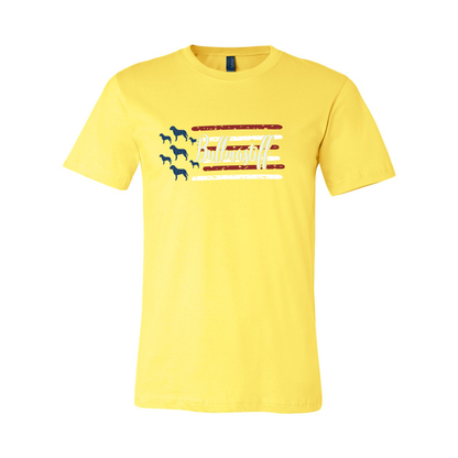 Test Flag Unisex Short Sleeve Jersey Tee