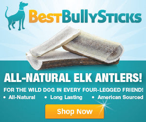 Best Bully Sticks we are a proud affiliate click link in description to let them know we recommended you