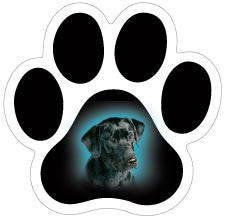 Breed Mini Paw Magnets