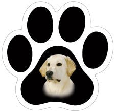 Breed Mini Paw Magnets