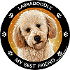 Best Friends Magnets Miscellaneous Dogs